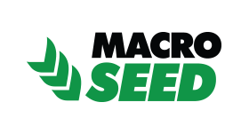 Marco Seed
